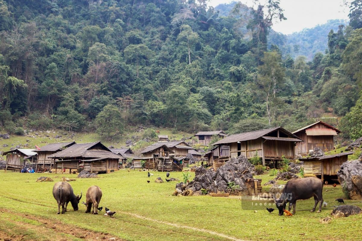 Tour Schedule Moc Chau – Son La – Dien Bien 3N2D from Hanoi