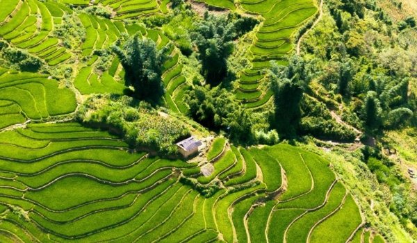 Tour Schedule Sapa – Y Ty – Lung Po 4 days 3 nights